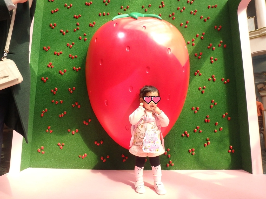 f:id:ankojirushi:20190221230352j:plain f:id:ankojirushi:20190221230352j:plain