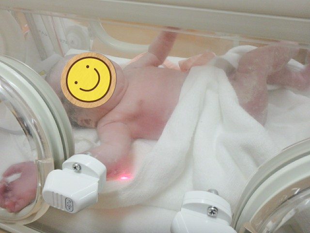f:id:ankojirushi:20200917174944j:plain f:id:ankojirushi:20200917174944j:plain