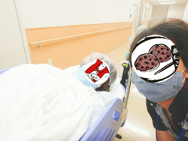 f:id:ankojirushi:20200917175010j:image f:id:ankojirushi:20200917175010j:image
