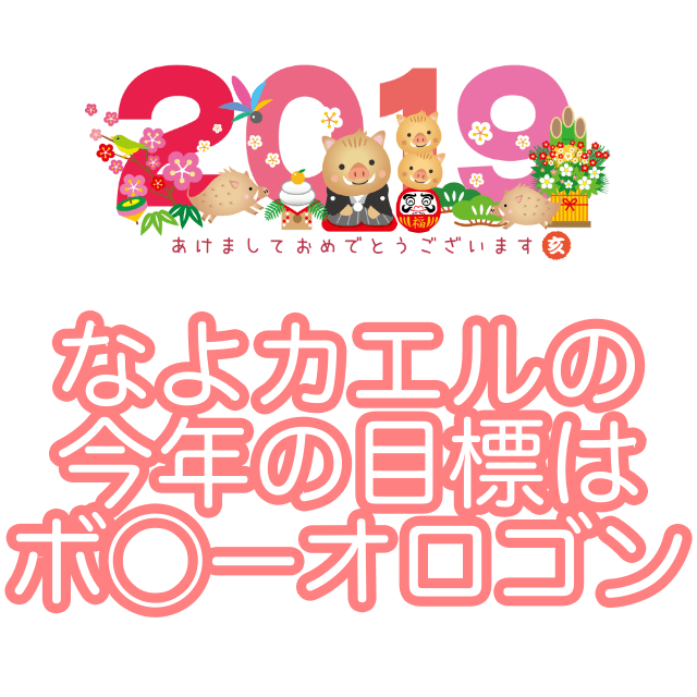 2019年の目標はダーツ界のボビーオロゴンになること
