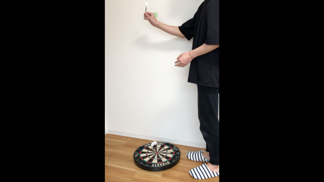 ダーツの落下実験