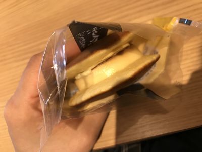 f:id:ankokoro:20190114062737j:plain