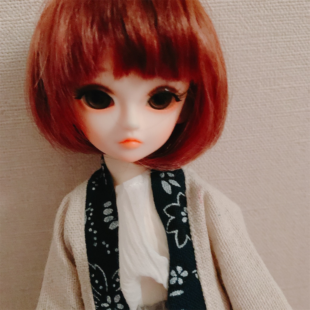 f:id:ankonamo:20200517182250j:image f:id:ankonamo:20200517182250j:image