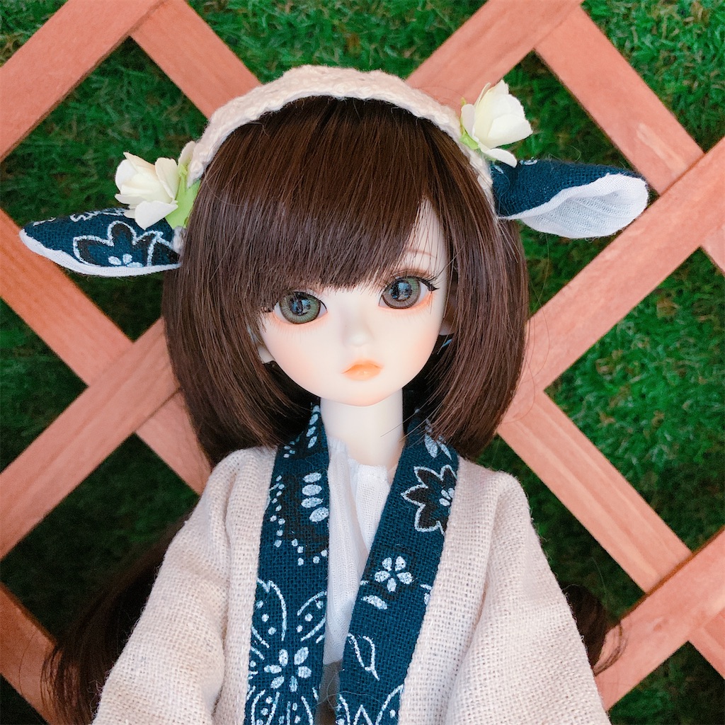 f:id:ankonamo:20200519123043j:image f:id:ankonamo:20200519123043j:image