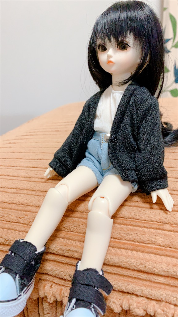 f:id:ankonamo:20201227203011j:image f:id:ankonamo:20201227203011j:image