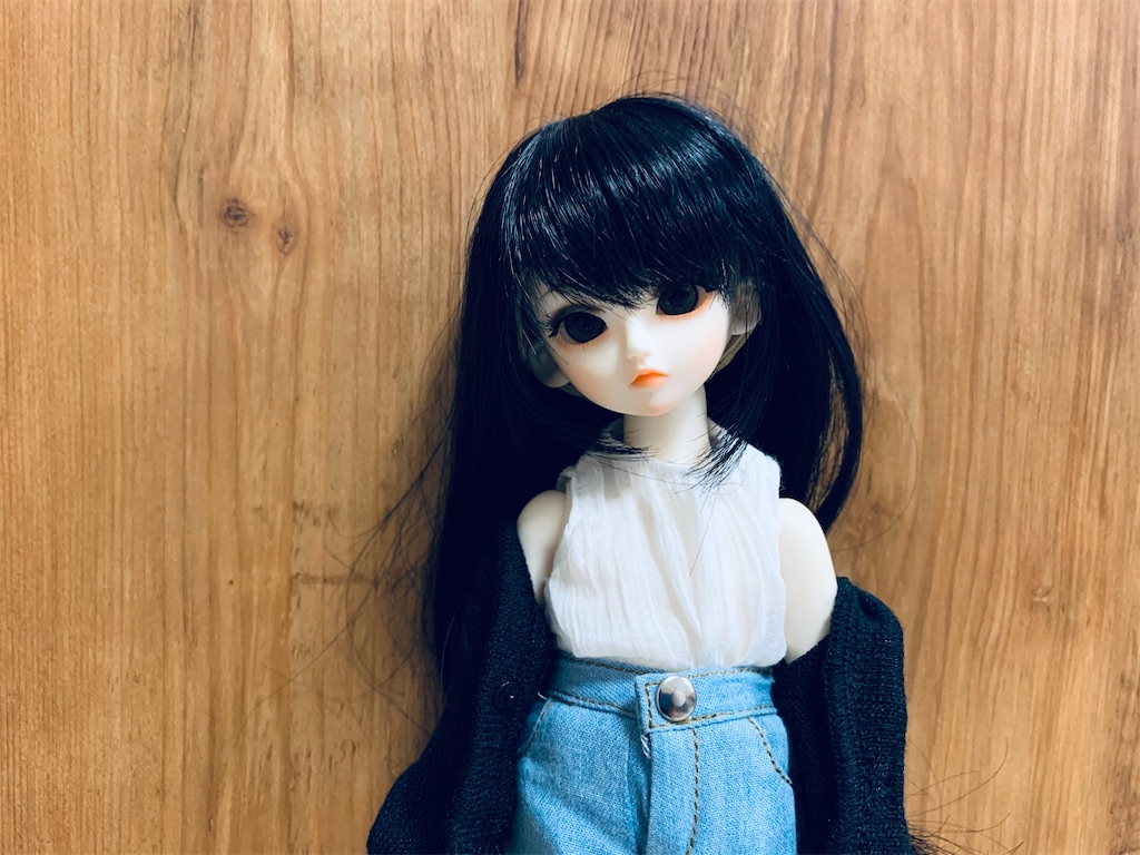 f:id:ankonamo:20201227204355j:image f:id:ankonamo:20201227204355j:image