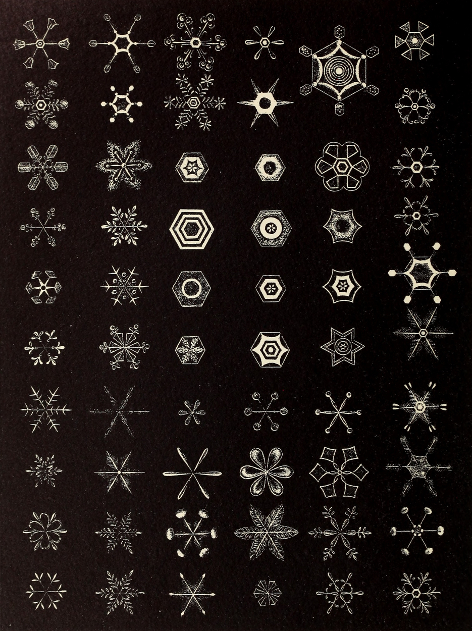 Snowflake String Rows Rows of snowflakes - εη / γ€γ©γΉγγ»γ