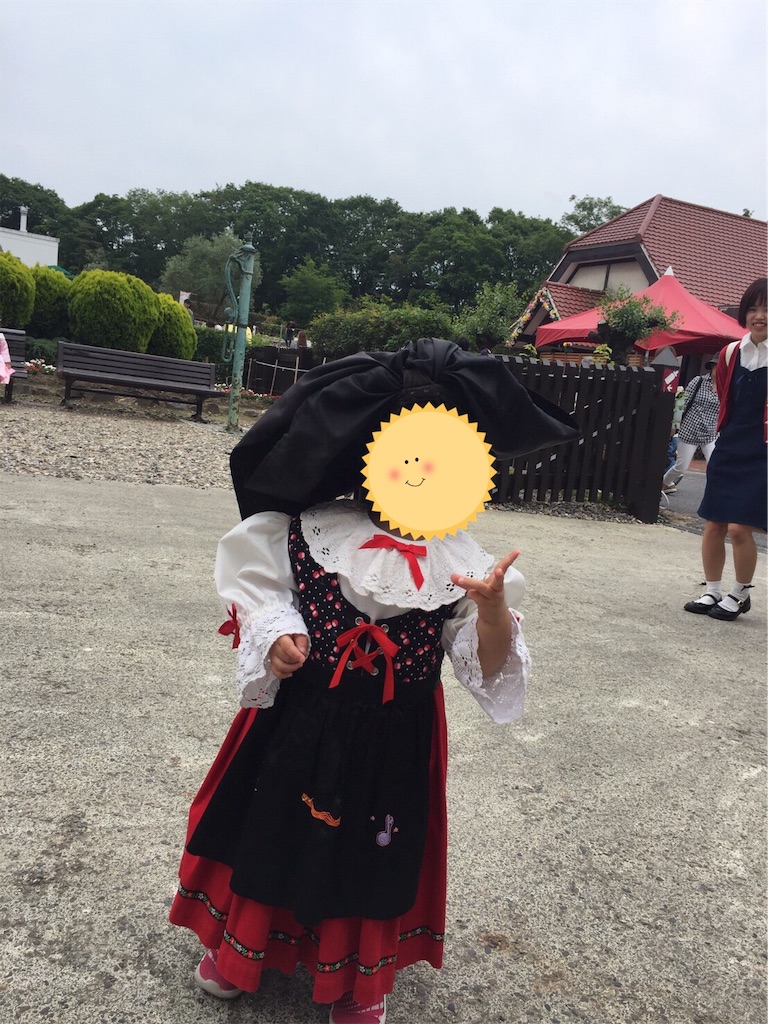 f:id:ankoromochi0615:20190610234705j:image