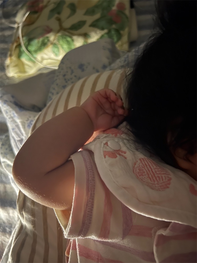 f:id:ankot:20240524040403j:image