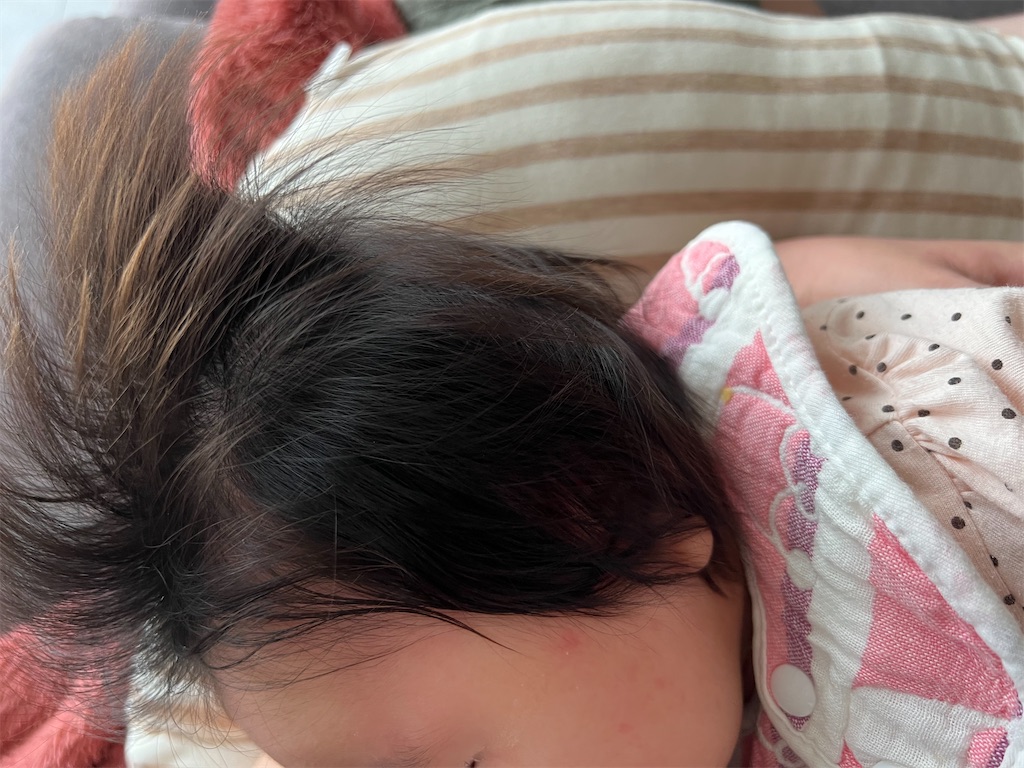 f:id:ankot:20240526062435j:image