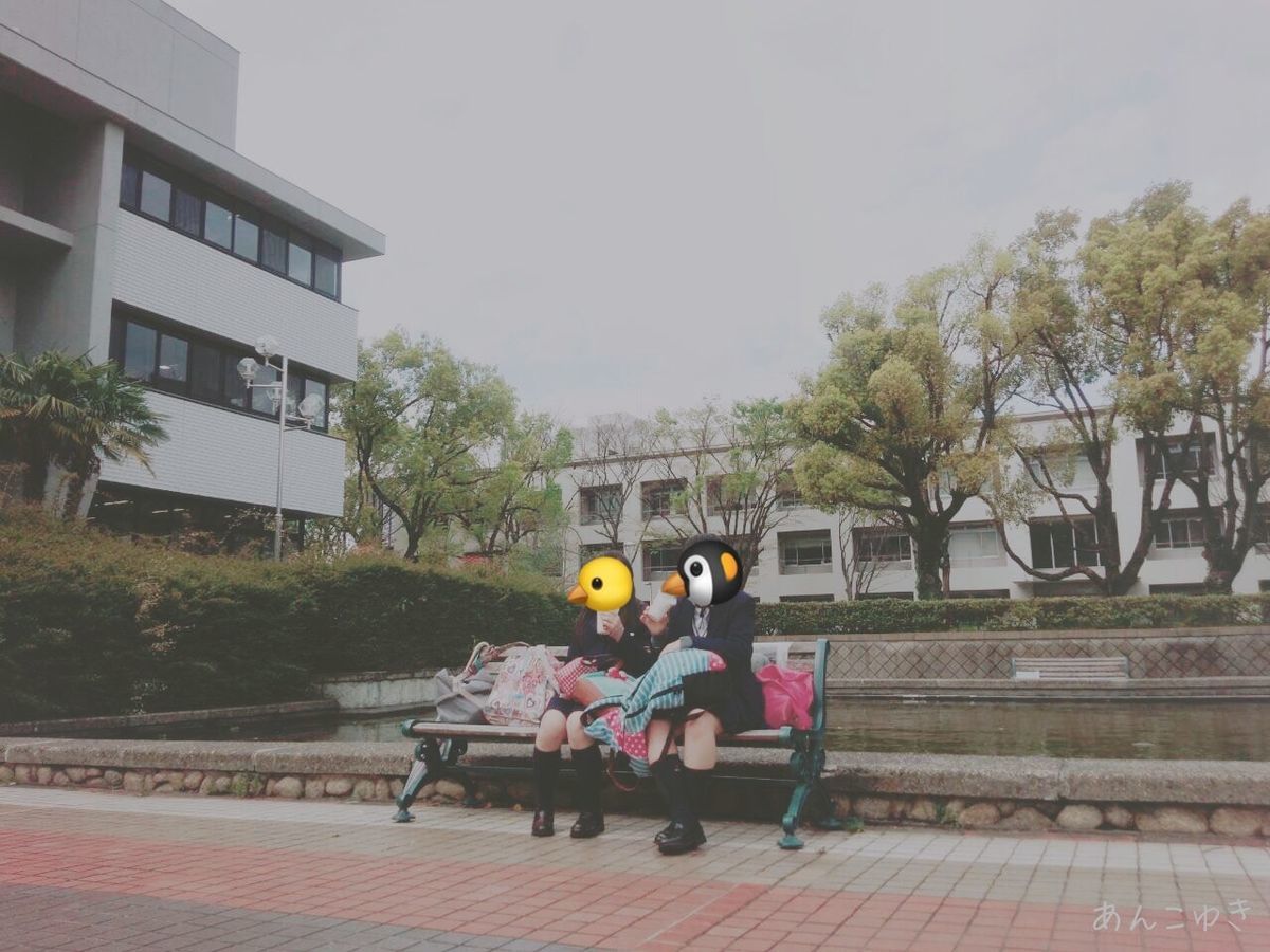 名大附属の卒業生が母校を徹底考察 藤井聡太棋士 名古屋大学教育学部附属中高等学校 あんこゆき