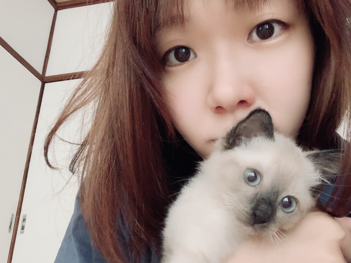 f:id:anmei_anmei:20200619202559j:plain