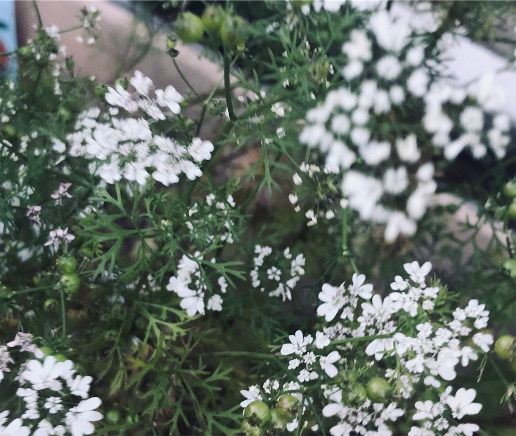 f:id:anmonight-works:20181023170248j:image