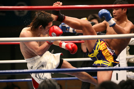 f:id:anmonite:20080321020543j:image
