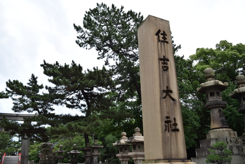 イメージ 8