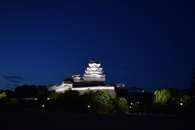 イメージ 7
