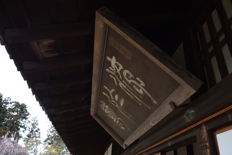 イメージ 8