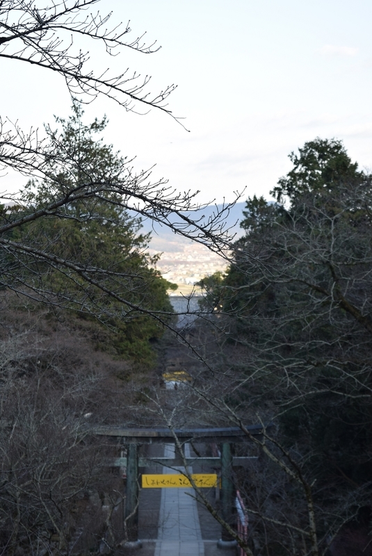 イメージ 5
