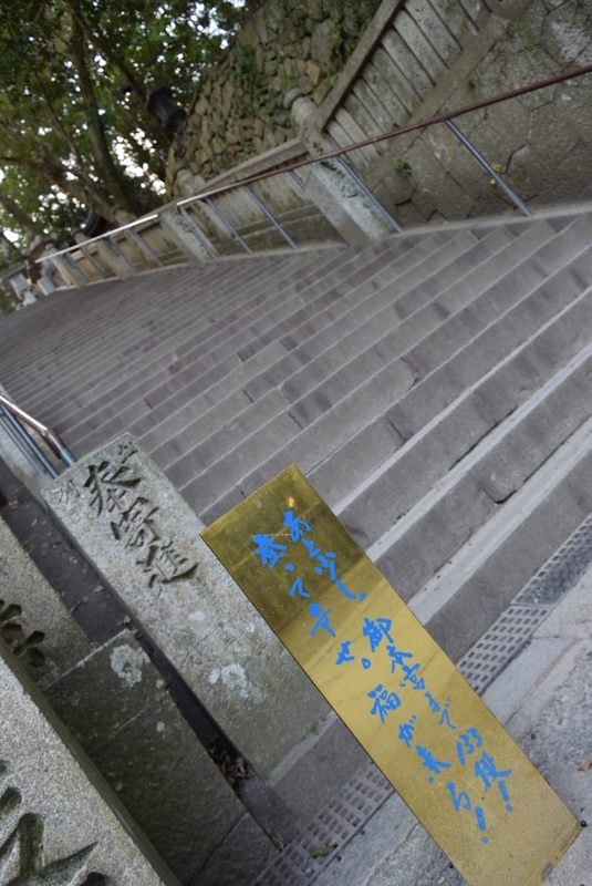 イメージ 6