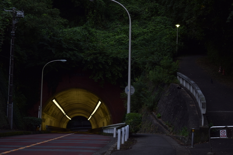 イメージ 7