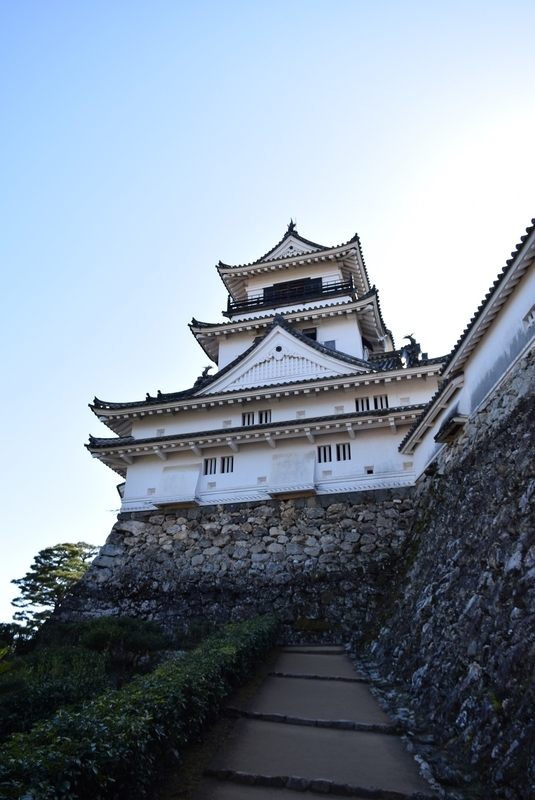 イメージ 7