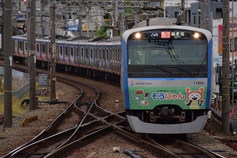 イメージ 3