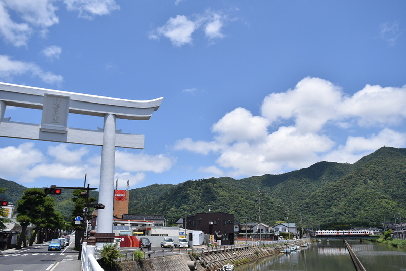 イメージ 7