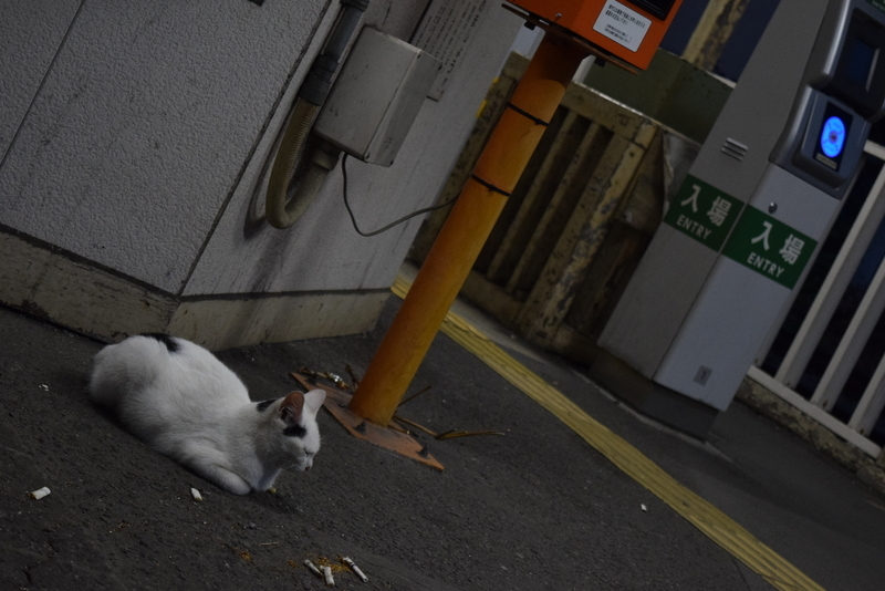 イメージ 4