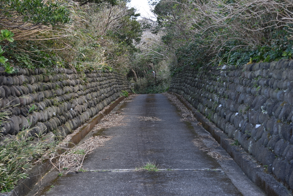 f:id:anmuku001:20200105174456j:plain