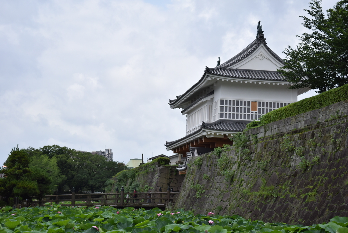 f:id:anmuku001:20200714232534j:plain