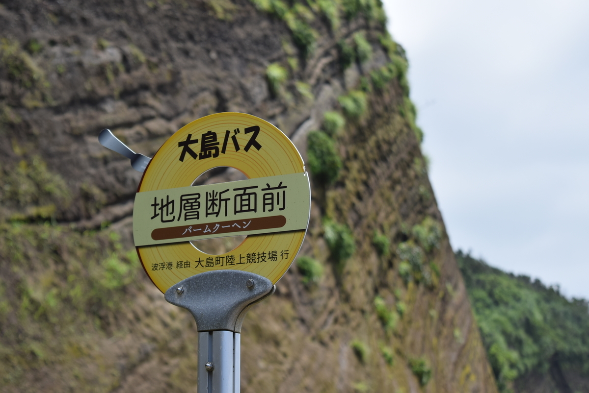 f:id:anmuku001:20200807205715j:plain