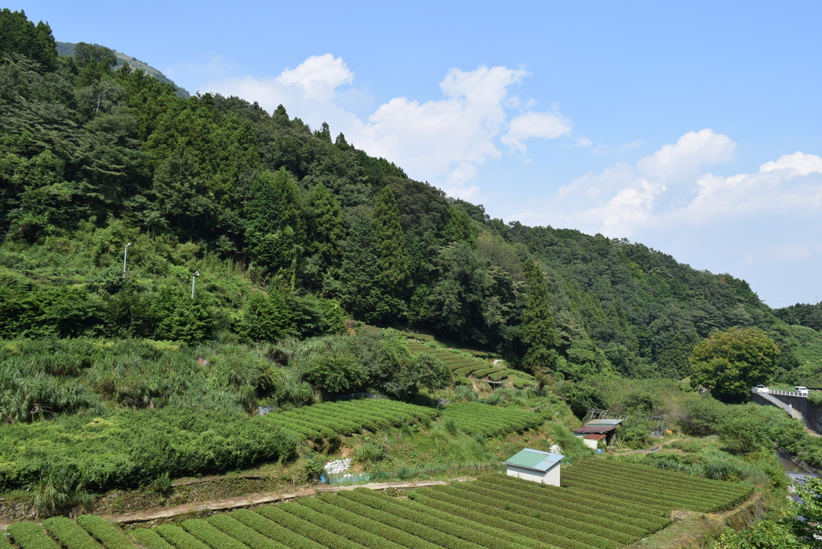 f:id:anmuku001:20200819230110j:plain f:id:anmuku001:20200819230110j:plain