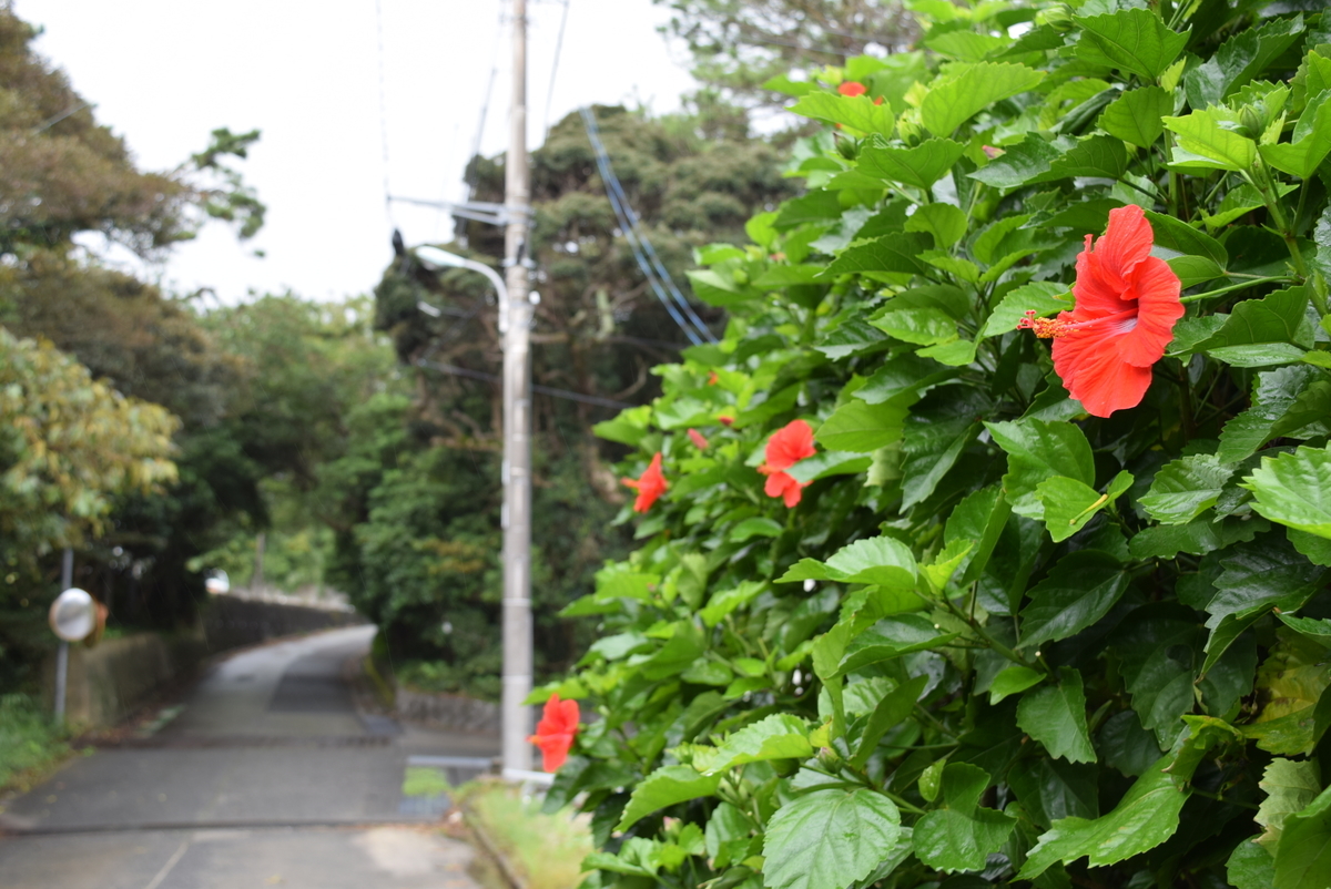 f:id:anmuku001:20200930131458j:plain