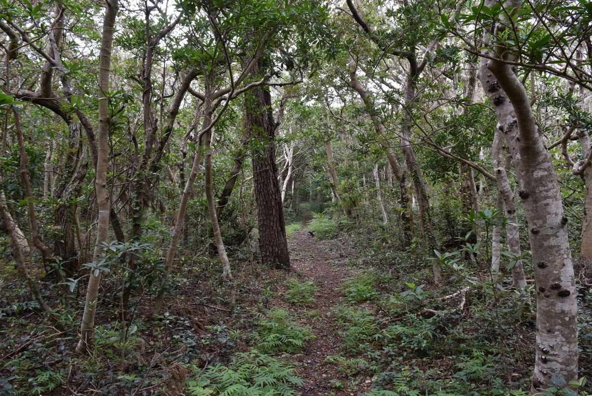 f:id:anmuku001:20200930140526j:plain