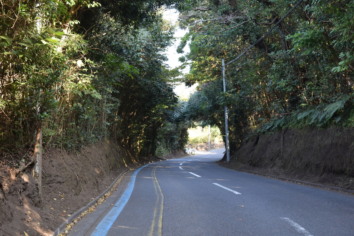 f:id:anmuku001:20201122184917j:plain