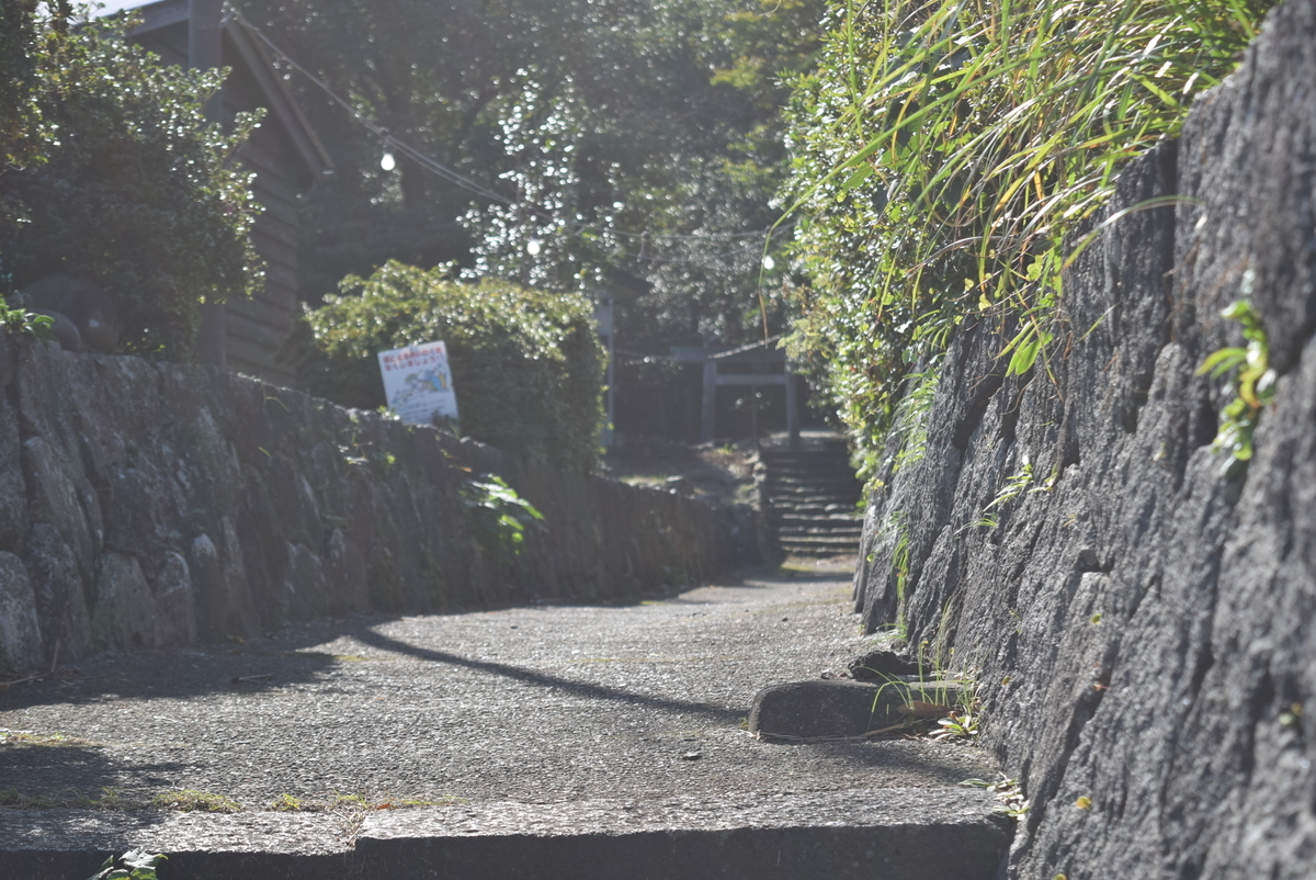 f:id:anmuku001:20201122185126j:plain