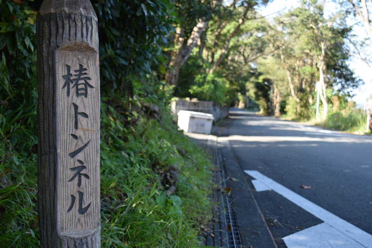 f:id:anmuku001:20201122185202j:plain