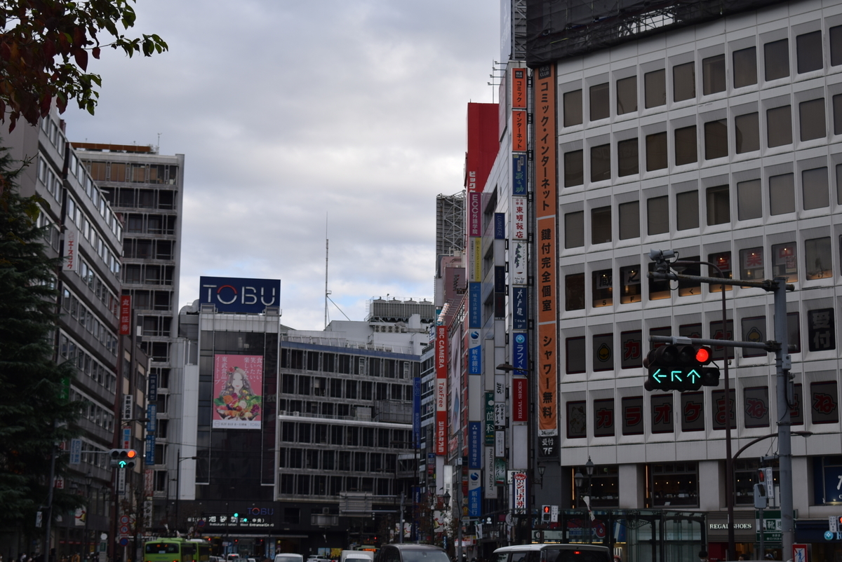 f:id:anmuku001:20201123235248j:plain