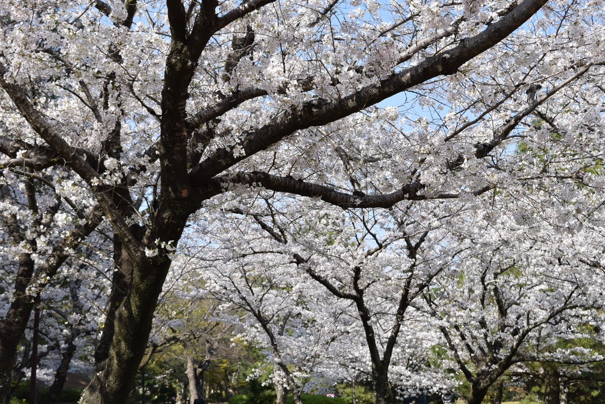 f:id:anmuku001:20210328233704j:plain