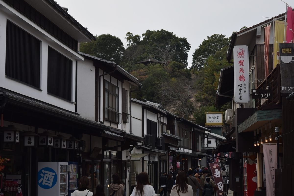 f:id:anmuku001:20211123163132j:plain