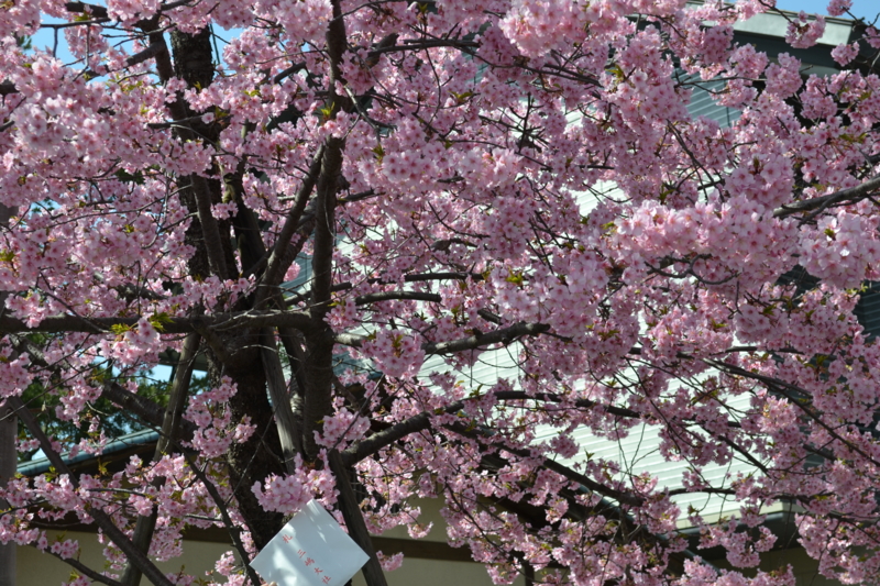 f:id:ann2andy:20130309130424j:image:w360