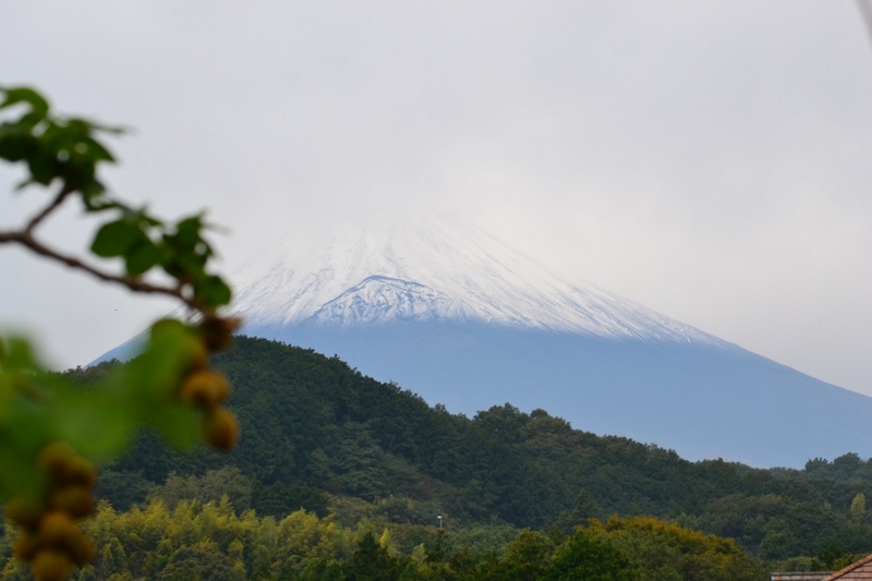 f:id:ann2andy:20131019101623j:image:w360 f:id:ann2andy:20131019101623j:image:w360