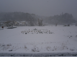 f:id:ann2andy:20140208125612j:image