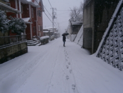 f:id:ann2andy:20140208151406j:image