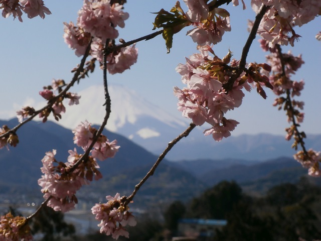 f:id:ann2andy:20140311143543j:image