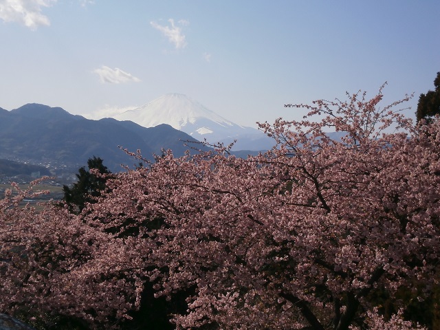 f:id:ann2andy:20140311145345j:image