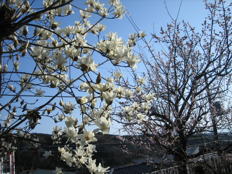 f:id:ann2andy:20150317163355j:image
