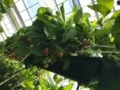 20180607101022