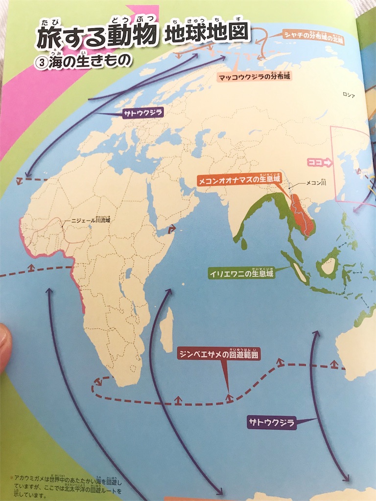 知育 おふろで楽しむ 世界地図 図鑑 地球儀 クイズ形式で興味の芽を育てる 360 Days