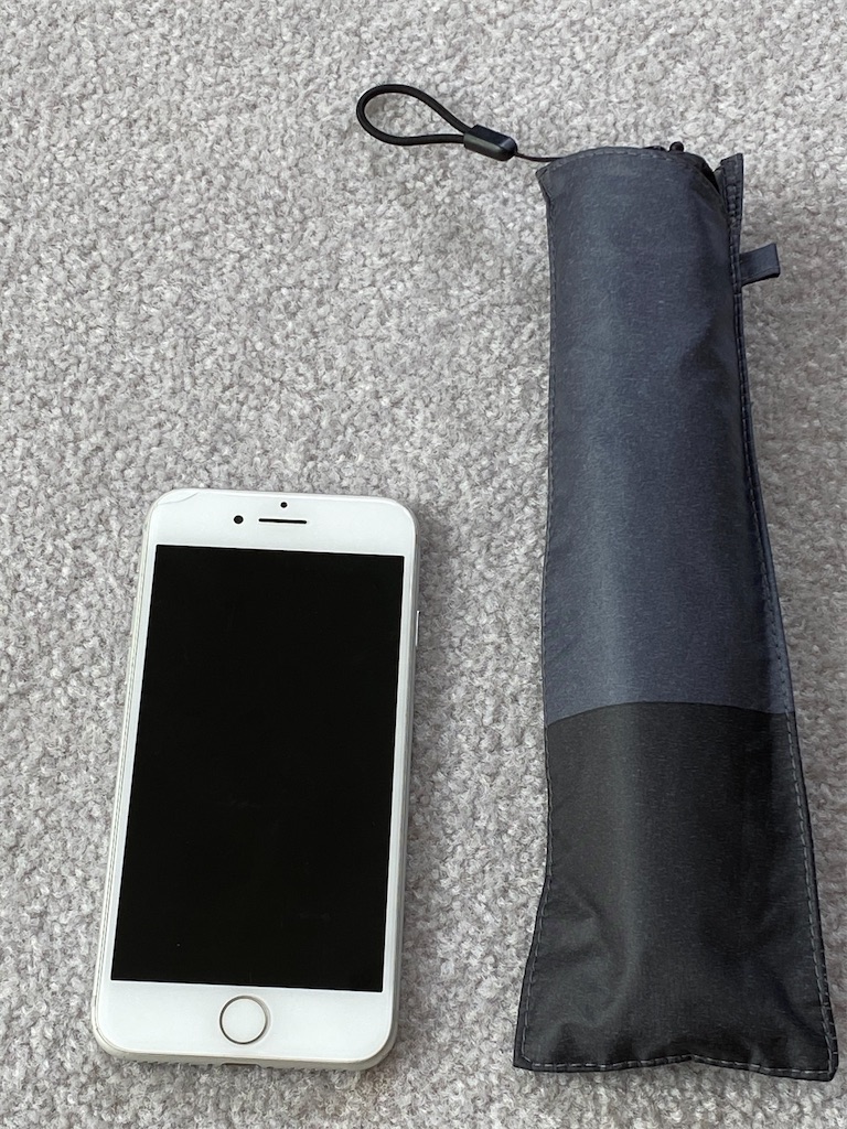 f:id:ann360days:20200731115311j:image